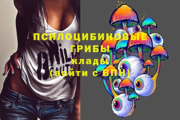a pvp Каменка