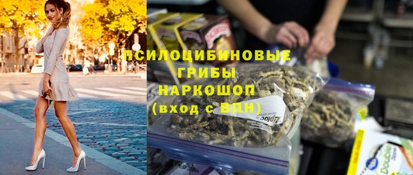 a pvp Каменка