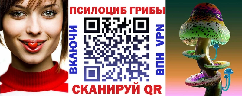 Купить где  Тосно  Псилоцибиновые грибы мухоморы 